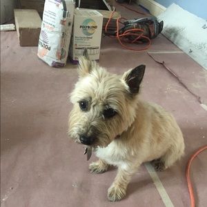 Meet your Posher, Victor